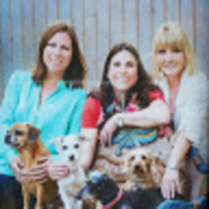 Meet your Posher, Rita